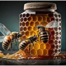 Large 12 Pack Of Natural Honey Pack With Natural Jelly - Bee Pollen From Ginseng & Herbs, Full Box Of 20G Honey 12 Sachets - Mua một, tặng một - Xem 9