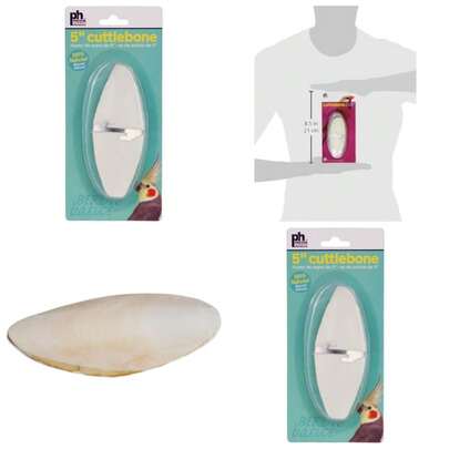 5 Inch Medium Cuttl…