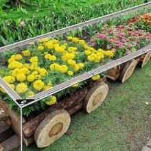 Transparente wasserdichte Plane, wasserdichte Regenschutzabdeckung, strapazierfähige ölhaltige Abdeckfolie, klare Vinyl-Planen mit Ösen - Plane mit Ösen, wasserdicht & windundurchlässig, reißfest und unzerreißbar für Garten, Balkon, Terrasse, Markisen, Winterpflanzenabdeckung, Gewächshaus, Camping-Ausrüstung, für den Außenbereich - transparent - Übersicht 11