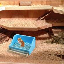 Caja de de conejito y entrenador para orinal |   Solución de baño para mascotas pequeñas |   Caja de ropa de cama para conejos, chinchillas y otros animales pequeños - 1 - Ver 4