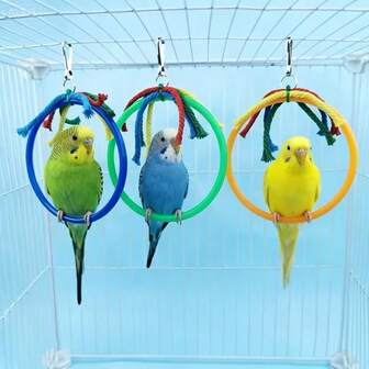 1个/2个塑料鹦鹉栖木架，带挂环，鸟笼配件，适用于爱情鸟、鹦鹉和其他小型鸟类