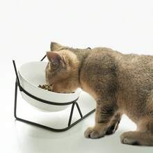 Bộ bát ăn cho mèo 2 tầng bằng gốm có chân đế sắt, khay ăn nâng cao, chống nôn và bảo vệ cột sống, dễ vệ sinh và ổn định, cho ăn lành mạnh, chống đổ, phù hợp với mèo Anh lông ngắn. - 1 lít - Xem 3