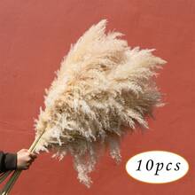 10/16 Bundles 100cm Large Fluffy Beige Pampas Grass, Soft Texture - Boho Farmhouse Dried Flowers Decor, Suitable For Wedding, Fall, Winter, Christmas, Halloween, Thanksgiving, Party And Home Decoration - Khaki - View 14