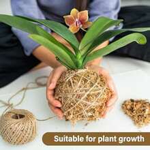 Sphagnum Moss,Sphagnum Moss For Plants,4 QT Natural Long Fibered Sphagnum Peat Moss,Premium Dried Orchid Moss For Orchids Succulents Carnivorous Potted Plant Gardening & Reptiles - 4 QT - 查看 5