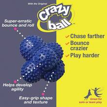 Power Ball Dogs Crazy Ball, Large - Large Bola loca - Ver 10