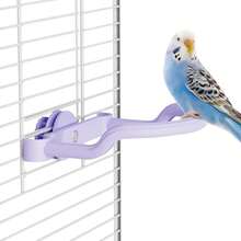 2pcs Bird Perch, U-Shaped Bird Stand Toy, Colorful And Aesthetically (1 Purple + 1 Random Color), Suitable For Claw Grinding And Exercise As Cage Accessories, Applicable For Medium And Small Parrots