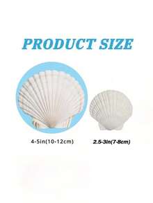 5/10 piezas Conchas de vieira blancas, tamaño 4-5 pulgadas (10.16-12.7cm) - Conchas naturales, adecuadas para manualidades DIY, pintura, decoración de bodas en la playa y decoración del hogar - Gran paquete de conchas brillantes y lisas, excelentes para manualidades hechas a mano, decoración con tema costero y elaboración de joyas con conchas - Blanco - Ver 2