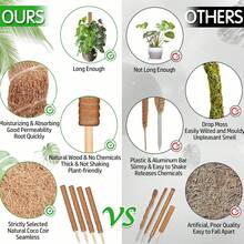 1pc Turtle Back Bamboo Moss Pole, Adjustable Plant Support Stick, Indoor Potted Plant Stand, Coconut Fiber Pole, Suitable For Moss, Pothos And Other Climbing Plants - Brown - View 4