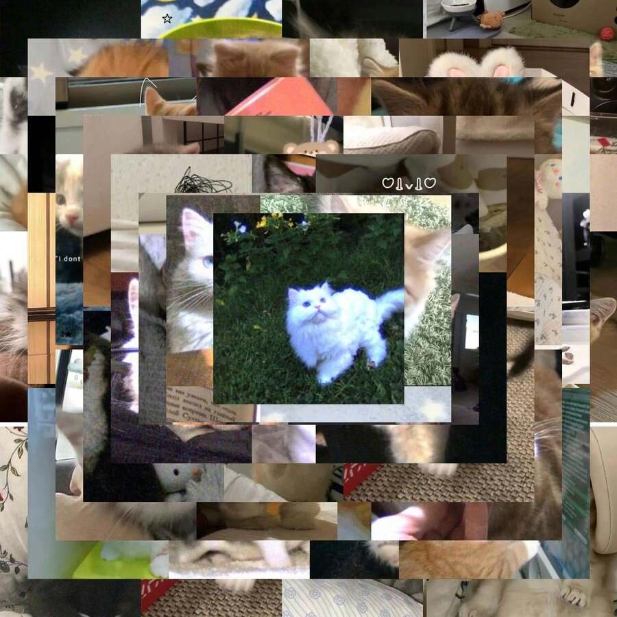 63 Peças Adesivos Fofos de Gato Desfocado, Adesivos Decorativos Adequados para Decorar Caixas de Presente, Bolsas, Skates, Capacetes, Fazer Diários e Capas de Telefone - Multicolorido - Visão 1