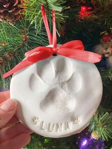 1 Set Pet Paw Print Craft Kit, DIY Memorial Set Includes Stand, Mold Box, Gold Paint, Brush, Mold Box, Gold Paint, Card Mold And Ribbon, Pet Birthday Gift, Material: Clay, Includes 2 Bags Of Molding Clay - one-size - View 7