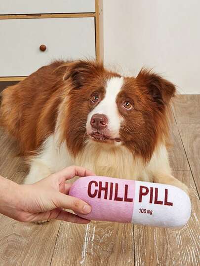 1pc Pill-Shaped Pet Toy, Pet Chew Toy For Teeth Cleaning, Soundmaking Without Battery, Suitable For Cats And Dogs Daily Play, Perfect Gift For Pets On Birthday And Holidays