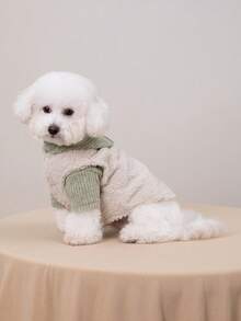 2件套宠物老年犬保暖针织内衣和连帽背心，带牵引绳扣，撞色休闲日常狗狗服装