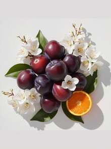 DIVAIN Profumo - vino.577 - Visualizzare 2