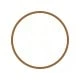 Multicolor Circle