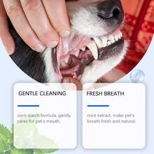 宠物牙齿清洁粉，去除牙垢和牙渍，清新口气，猫狗口腔护理 - 白色 - 查看 7