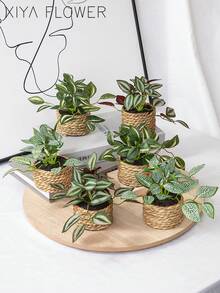 1/3件装人造藤编盆栽，薄荷叶、网叶、眉叶，3种款式，海草绳花盆，海草绳，绿色，PE和涤纶材质，桌面装饰，宿舍和办公室装饰，情人节，春夏家居装饰