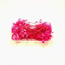 Mezcla de flores secas de alta calidad para arte de resina y elaboración de velas - Florales perennes y flotantes a base de plantas, 20-30 g en caja