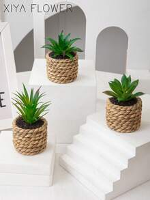 3/6件套人造迷你多肉植物盆栽套装，编织草绳花盆，直径5.5厘米/2.16英寸，饰以海藻绳，PE材质。适用于桌面装饰、学生宿舍和办公室装饰。人造植物盆栽套装，可用于家居装饰、景观装饰、派对和节日装饰、生日派对装饰。 - 彩色 - 查看 13
