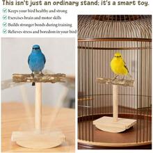 Natural Wood Bird Perch Stand Training, Rocking Perch Birds, Intelligence Puzzle Enrichment Toys Parakeets, Parrot Perch Stand Cockatiels, Budgies, Conures, Bird Playground Accessories - Wooden - View 8