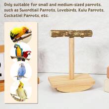 Natural Wood Bird Perch Stand Training, Rocking Perch Birds, Intelligence Puzzle Enrichment Toys Parakeets, Parrot Perch Stand Cockatiels, Budgies, Conures, Bird Playground Accessories - Wooden - View 9