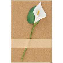 Decorative Jewelry Chests & Boxes - 馬龍 - 查看 8