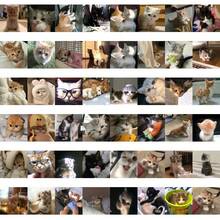 63 Peças Adesivos Fofos de Gato Desfocado, Adesivos Decorativos Adequados para Decorar Caixas de Presente, Bolsas, Skates, Capacetes, Fazer Diários e Capas de Telefone - Multicolorido - Visão 2