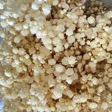 50/100/300pcs Natural Dried Baby's Breath Flowers - Elegant Preserved Baby's Breath, Suitable For Home, Office, Wedding, Christmas, Halloween Party, Handicrafts, Maintenance-Free, Suitable For Ages 14+ (No Paper Card)