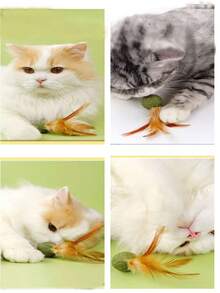 كرات نبات القطط المخدر، ألعاب ريش للقطط، علاج القطط، تنظيف الأسنان، ألعاب نبات القطط المخدر، وسائل ترفيه ذاتي، أدوات تخفيف الضغط، كرات نبات القطط المخدر - متعدد الألوان - مشاهدة 2