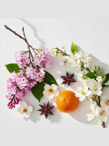Perfume Floral para Mujer divain.733 - Elegancia y Frescura en Primavera, Notas de Leche de Almendras y Rosa de Damasco, Corazón de Lila y Jazmín, Fondo Suave de Vainilla y Almizcle, Ideal para Uso Diario y Reuniones, 100ml de Fragancia Envolvente y Duradera - divain.733 - Ver 2