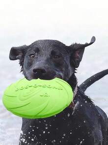 Este Brinquedo Multifuncional é Feito de Revestimento de Borracha Durável e Design Estereoscópico 3D, Adequado Tanto para Treinamento de Cães Quanto como Brinquedo de Estimação. É Particularmente Útil para Relaxamento e Entretenimento.