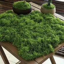 100克/300克人造天然草坪，人造苔藓地毯，适用于景观设计、植物栽培、窗台花卉装饰。 - 彩色 - 查看 7