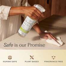 Branch Basics Cleaning Essentials Kit: All Purpose, Glass And Bathroom Cleaner - Concentrate (33.8 Oz) (17 Refills) + Refillable Plastic Spray Bottles (24 Oz) Plant Based, Human-, & Fragrance Free - như hình ảnh - Xem 5