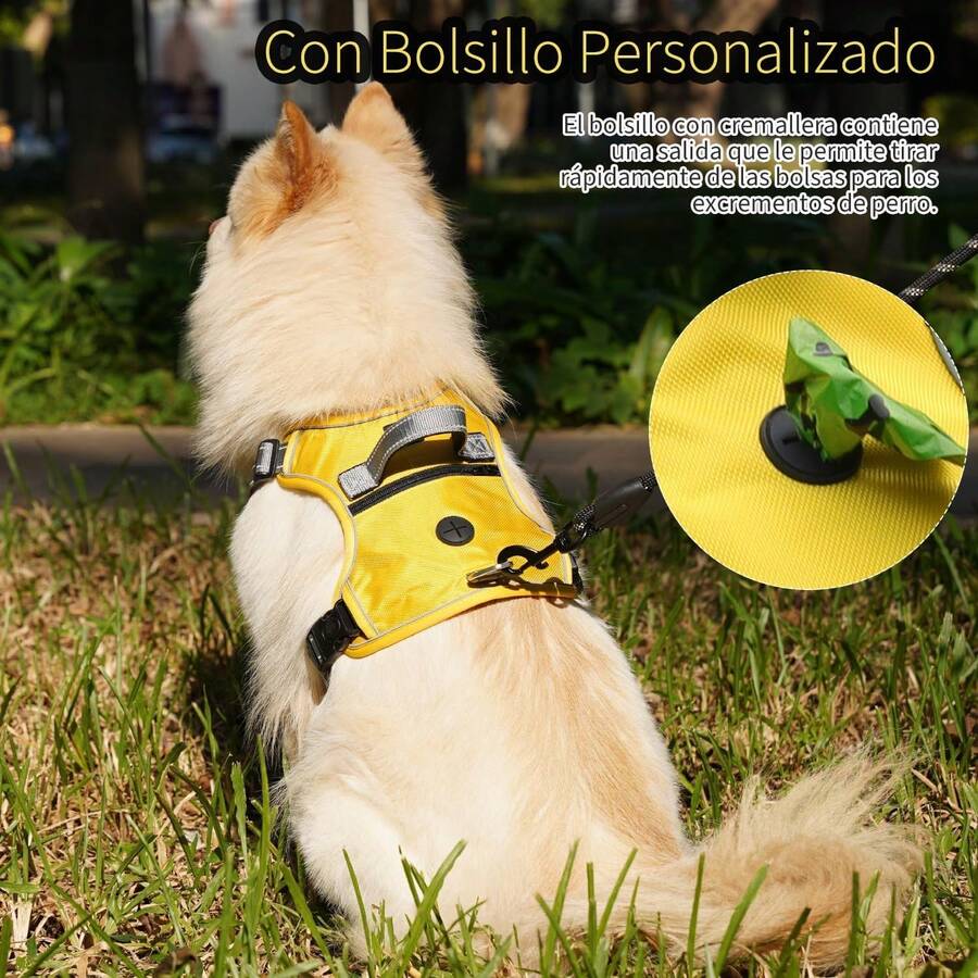 Retractable Leashes - Yellow - View 1
