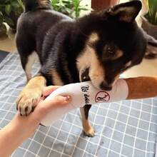 1pc Cigar Shaped Chew Toy, Suitable For Dogs Who Like To Chew, Interactive Dog Toy, Puppy Pretend Cigar Chew Toy - Plush Squeaky Pet Toy In Cigar Shape, Helps Clean Teeth And Keep Your Beloved Dog Entertained, Creative Chew Toy For Medium & Small Dogs. No Tobacco, Just Fun. - Multicolor - View 3