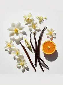 DIVAIN Perfume - Wine.627 - View 2
