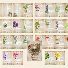 The Ultimate Handbook Of Poisonous Herbs Includes Plant Guides, Astrological Correspondences, And Witchcraft Uses, Making It The Perfect Christmas And Halloween Gift For Herb Lovers. - A5 - 查看 3