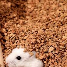 Ropa de cama para jaula, ropa de cama para animales pequeños |   Control de olor absorbente de humedad Bedding de animales pequeños |   Cómoda decoración del hábitat hámsters litera de jaula para uso inte - L - Ver 3