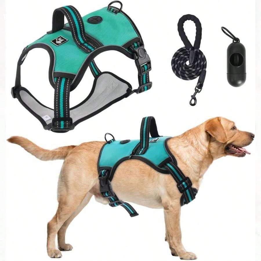 Pechera para Perro Mediano Chico con Correa 1.5m, Transportadora para Perro para Caminar Reflectante, Arnes para Viajar Entrenar Perros Accesorios Negro, - Aguamarina + S - Ver 1