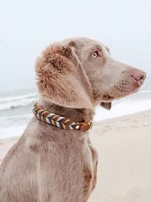 1pc Handmade Braided Genuine Leather Pet Collar, Suitable For Medium To Large Dogs, Multifunctional Leash