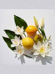 Perfume Floral para Mujer divain.529 - Captura el Glamour de  Neroli, Bergamota y Limón de Amalfi en una Frescura Cítrica; Flor del Naranjo, Nenúfar y Mimosa en un Corazón Romántico; Almizcle, Madera de Gaiac y Ámbar en una Base Sensual - Ideal para Verano y Uso Diario. - divain.529 - Ver 2