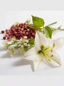 DIVAIN Perfumy - wino.638 - Zobacz 2