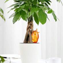 4 pachete de țepi de udare în formă de pasăre - Dispozitive automate de irigare prin picurare pentru plante de interior și exterior, țepi de udare cu eliberare lentă pentru suculente, flori în ghiveci, sistem de udare a plantelor de vacanță - Multicolor - Vizualizare 2