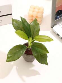 1 件人造盆栽，情人节、生日毕业礼物，家居装饰，返校房间装饰，学校用品