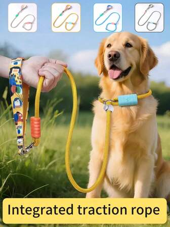 1pc Dog Leash With Collar, Suitable For Medium & Large Dogs, Nylon Material With Decorative Printed Handle, For Outdoor Activities & Training