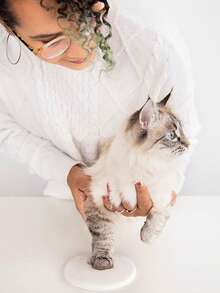 1 Set Pet Paw Print Craft Kit, DIY Memorial Set Includes Stand, Mold Box, Gold Paint, Brush, Mold Box, Gold Paint, Card Mold And Ribbon, Pet Birthday Gift, Material: Clay, Includes 2 Bags Of Molding Clay - one-size - View 5