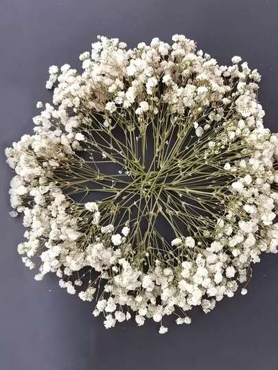 10pcs Mini Baby's Breath Flower Bouquet, For Home Decor, DIY Floral Arrangements, Vase Filler, Wedding, Holiday Party Decoration, Tabletop Centerpiece, Small Gift