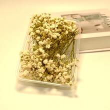 Mezcla de flores secas de alta calidad para arte de resina y elaboración de velas - Florales perennes y flotantes a base de plantas, 20-30 g en caja