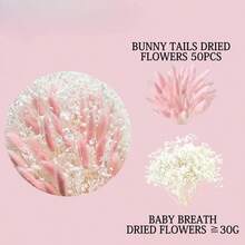 Natural Dried Flower Real Babys Breath Rabbit Tails Grass For Wedding Bridal Bouquets Eternal Pink White Gypsophila Couple Gifts - Pink - View 4