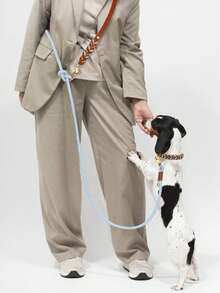 1pc Handmade Braided Genuine Leather Pet Collar, Suitable For Medium To Large Dogs, Multifunctional Leash