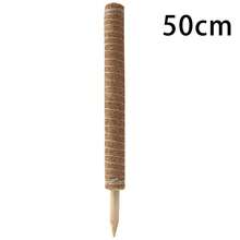 1pc Turtle Back Bamboo Moss Pole, Adjustable Plant Support Stick, Indoor Potted Plant Stand, Coconut Fiber Pole, Suitable For Moss, Pothos And Other Climbing Plants - Brown - View 7